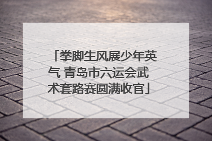 拳脚生风展少年英气 青岛市六运会武术套路赛圆满收官