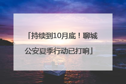 持续到10月底！聊城公安夏季行动已打响