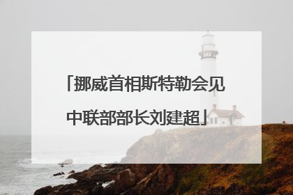 挪威首相斯特勒会见中联部部长刘建超