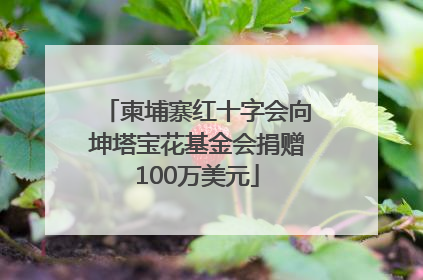 柬埔寨红十字会向坤塔宝花基金会捐赠100万美元