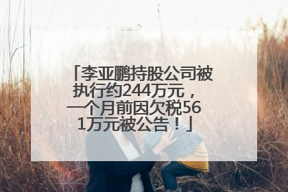 李亚鹏持股公司被执行约244万元，一个月前因欠税561万元被公告！