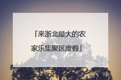 来浙北最大的农家乐集聚区度假