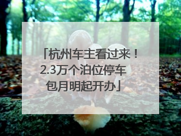 杭州车主看过来！2.3万个泊位停车包月明起开办
