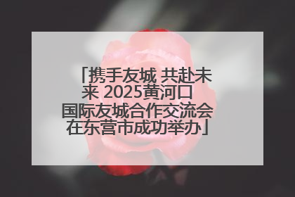 携手友城 共赴未来 2025黄河口国际友城合作交流会在东营市成功举办