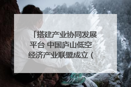 搭建产业协同发展平台 中国庐山低空经济产业联盟成立（组图｜视频）