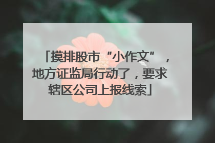 摸排股市“小作文”，地方证监局行动了，要求辖区公司上报线索
