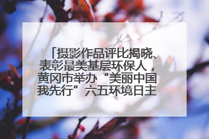 摄影作品评比揭晓、表彰最美基层环保人，黄冈市举办“美丽中国我先行”六五环境日主题宣传活动