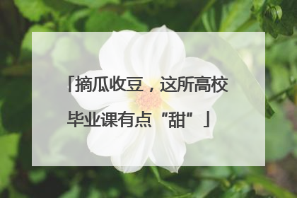 摘瓜收豆，这所高校毕业课有点“甜”