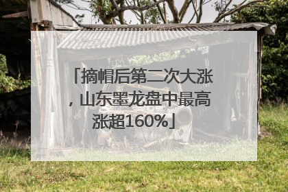 摘帽后第二次大涨，山东墨龙盘中最高涨超160%