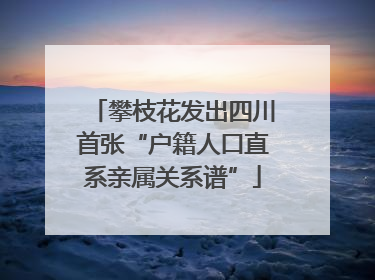 攀枝花发出四川首张“户籍人口直系亲属关系谱”