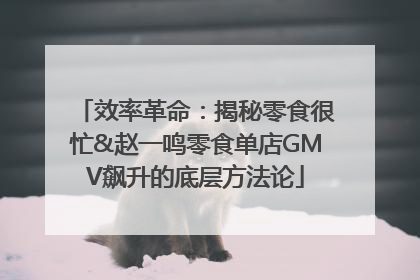 效率革命：揭秘零食很忙&赵一鸣零食单店GMV飙升的底层方法论