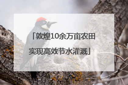 敦煌10余万亩农田实现高效节水灌溉