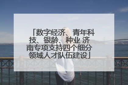 数字经济、青年科技、银龄、种业 济南专项支持四个细分领域人才队伍建设