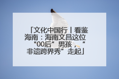 文化中国行丨看鉴海南：海南文昌这位“00后”男孩，“非遗跨界秀”走起