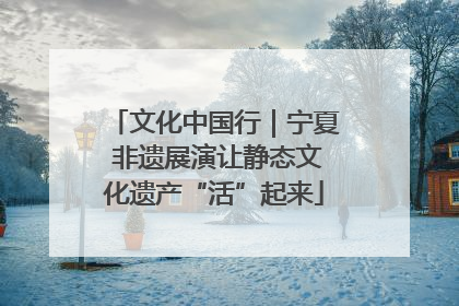 文化中国行｜宁夏 非遗展演让静态文化遗产“活”起来