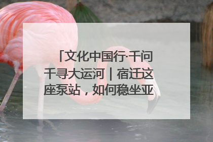 文化中国行·千问千寻大运河｜宿迁这座泵站，如何稳坐亚洲第一宝座？