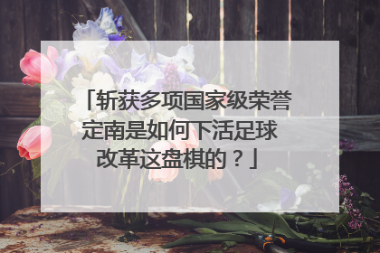 斩获多项国家级荣誉 定南是如何下活足球改革这盘棋的？