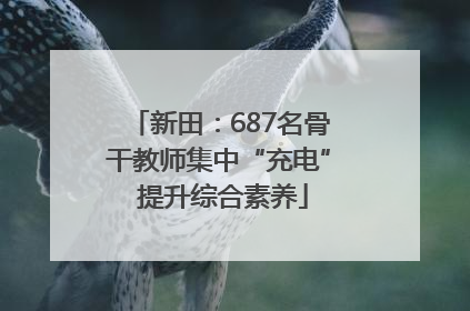 新田：687名骨干教师集中“充电” 提升综合素养