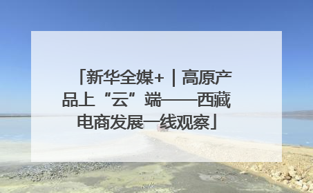 新华全媒+｜高原产品上“云”端——西藏电商发展一线观察