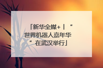 新华全媒+丨“世界机器人嘉年华”在武汉举行