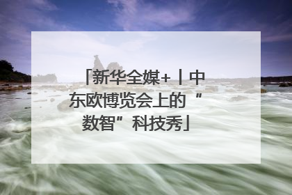 新华全媒+丨中东欧博览会上的“数智”科技秀