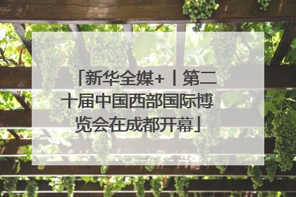新华全媒+丨第二十届中国西部国际博览会在成都开幕