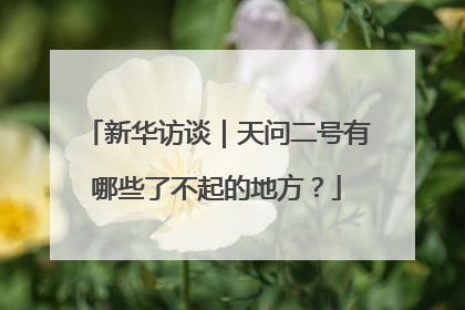 新华访谈｜天问二号有哪些了不起的地方？