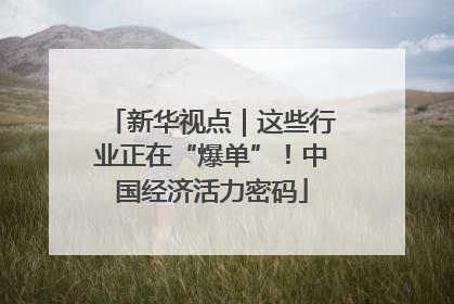 新华视点｜这些行业正在“爆单”！中国经济活力密码