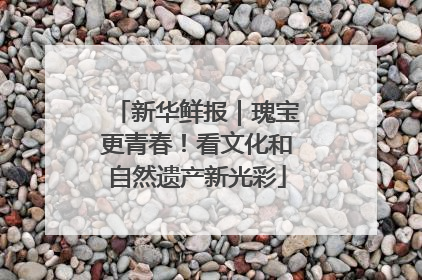 新华鲜报｜瑰宝更青春！看文化和自然遗产新光彩
