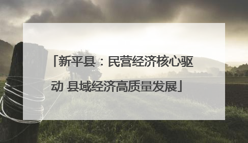 新平县：民营经济核心驱动 县域经济高质量发展