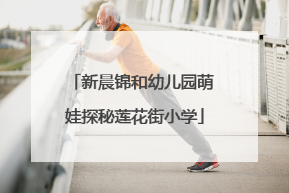 新晨锦和幼儿园萌娃探秘莲花街小学
