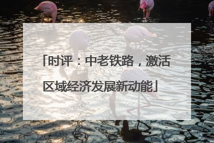 时评：中老铁路，激活区域经济发展新动能