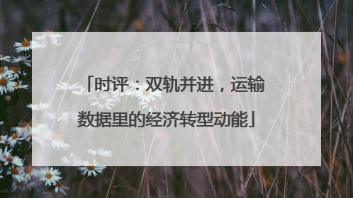 时评：双轨并进，运输数据里的经济转型动能