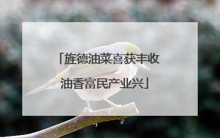 旌德油菜喜获丰收 油香富民产业兴