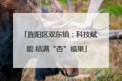 旌阳区双东镇：科技赋能 结满“杏”福果