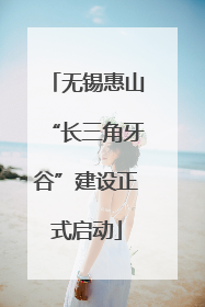 无锡惠山“长三角牙谷”建设正式启动