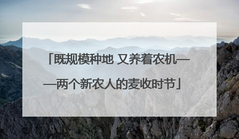 既规模种地 又养着农机——两个新农人的麦收时节