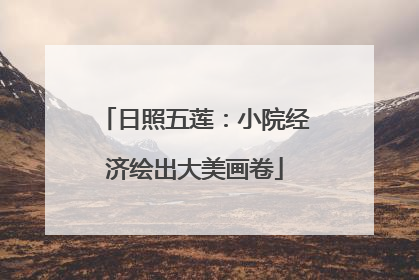日照五莲：小院经济绘出大美画卷