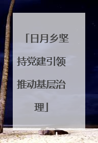 日月乡坚持党建引领推动基层治理