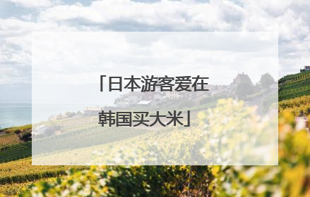 日本游客爱在韩国买大米