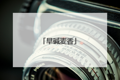 旱碱麦香