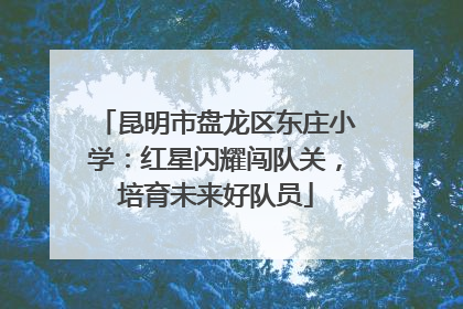 昆明市盘龙区东庄小学：红星闪耀闯队关，培育未来好队员