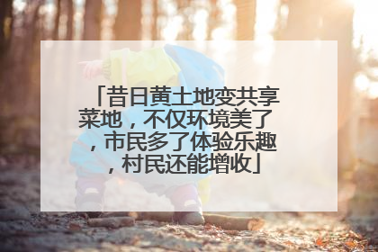 昔日黄土地变共享菜地，不仅环境美了，市民多了体验乐趣，村民还能增收