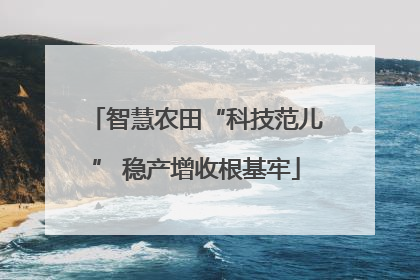 智慧农田“科技范儿” 稳产增收根基牢