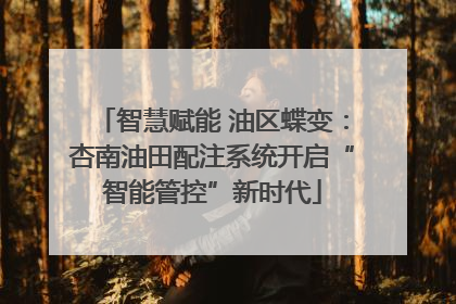 智慧赋能 油区蝶变：杏南油田配注系统开启“智能管控”新时代