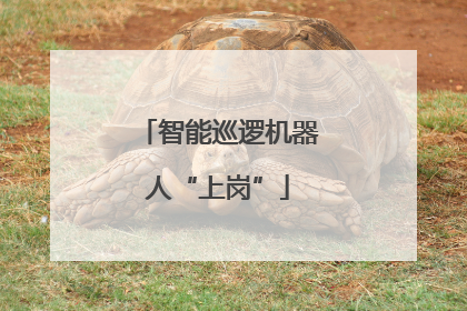 智能巡逻机器人“上岗”