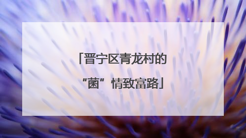 晋宁区青龙村的“菌”情致富路