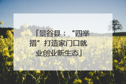 景谷县：“四举措”打造家门口就业创业新生态