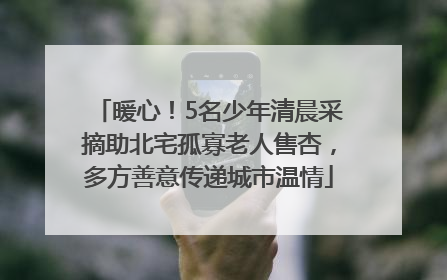暖心！5名少年清晨采摘助北宅孤寡老人售杏，多方善意传递城市温情