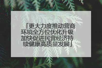 更大力度推动营商环境全方位优化升级加快促进民营经济持续健康高质量发展